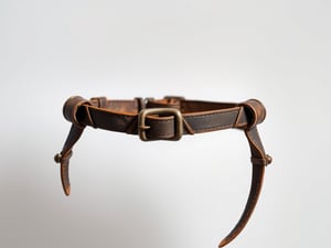 Medieval Chastity Belt