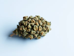 Infinite Weed