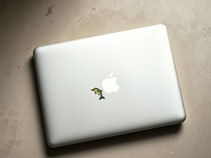 Dolphin-Shaped Macbook Cover