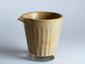 Fossilized Measuring Cup